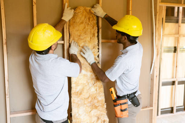 Best Insulation Air Sealing  in Amherst, WI